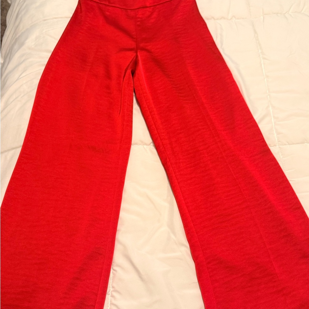 Express Red Satin Wide Leg Pants